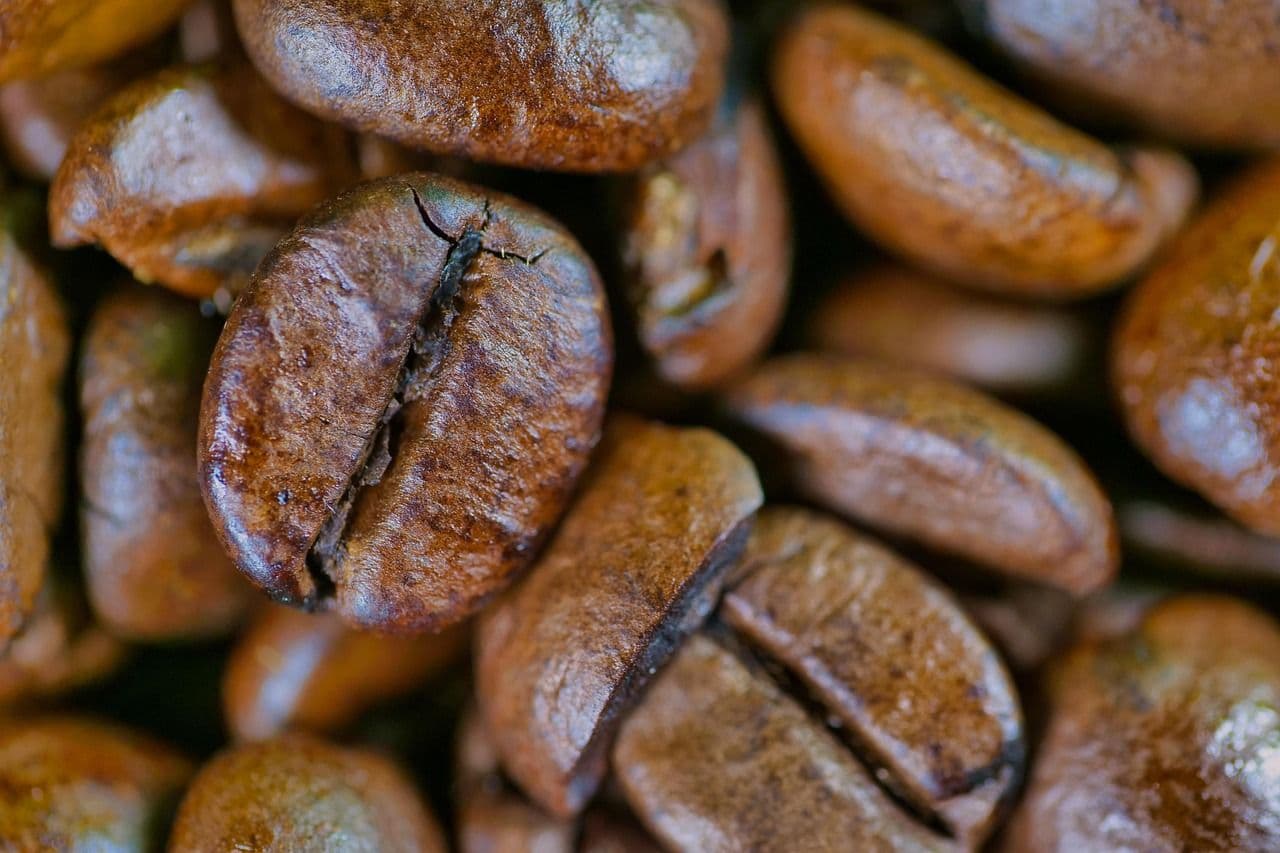 2.2-lb Lavazza Espresso Whole Bean Coffee (Medium Roast) $13.50 w/ S&S